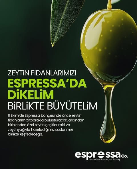11 Ekim zeytin fidanı dikimi ve tadım buluşmasının orijinal duyuru afişi